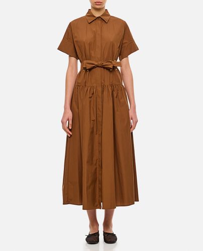 Max Mara Agoraio Popeline Dress - Max Mara - Modalova