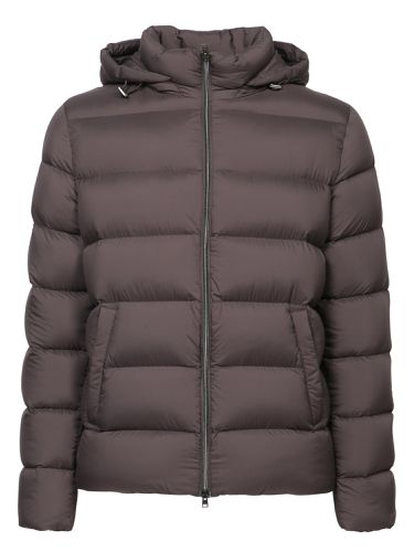 Herno Supermatt Brown Down Jacket - Herno - Modalova