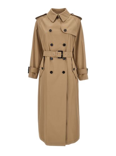 Belted Trench Coat In Cotton Woman - Herno - Modalova