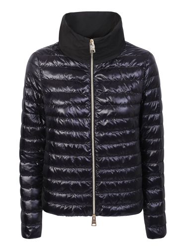 Herno Black Padded Jacket - Herno - Modalova