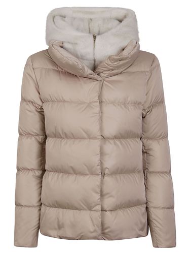 Herno Coats Cream - Herno - Modalova