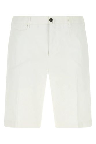 Stretch Cotton Bermuda Shorts - PT Torino - Modalova