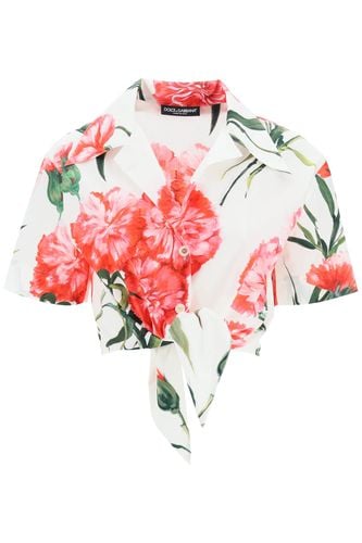 Carnation Print Cotton Cropped Shirt - Dolce & Gabbana - Modalova