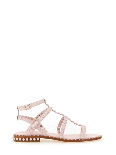 Ash Studded Sandal - Ash - Modalova