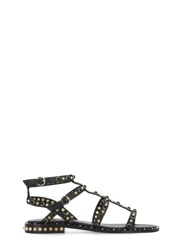 Ash Peps Sandals - Ash - Modalova