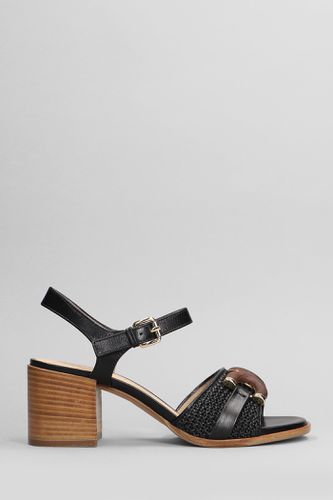 Alice Sandals In Leather - Roberto Festa - Modalova