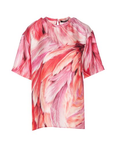 Plumage Print T-shirt - Roberto Cavalli - Modalova