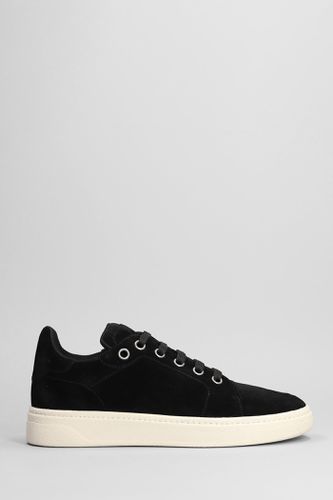 Gz95 Sneakers In Suede - Giuseppe Zanotti - Modalova