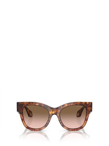 Ar8195u Red Havana / Orange Havana Sunglasses - Giorgio Armani - Modalova