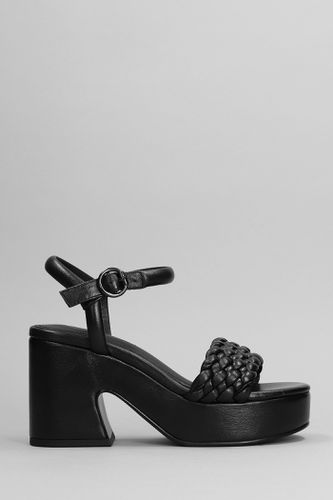 Ash Oak Sandals In Black Leather - Ash - Modalova