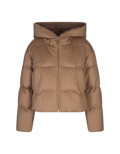 Camel Dalia Short Down Jacket - Max Mara - Modalova