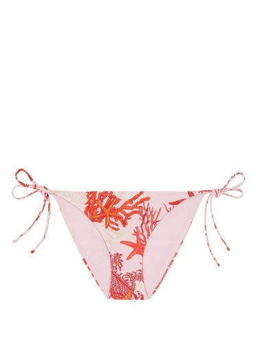 Versace Swim Slip Corals Print - Versace - Modalova