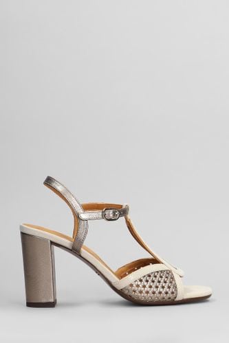 Bechill Sandals In Leather - Chie Mihara - Modalova