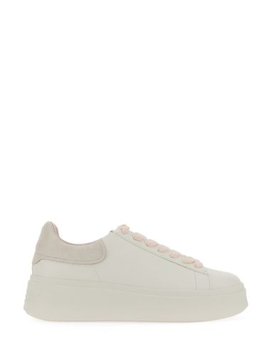 Ash moby Be Kind 01 Sneaker - Ash - Modalova