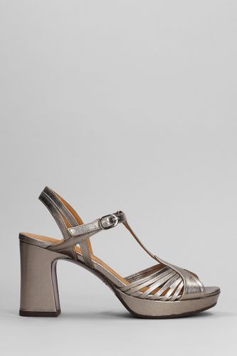 Kija 44 Sandals In Leather - Chie Mihara - Modalova