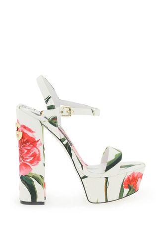Dolce & Gabbana keira Sandals - Dolce & Gabbana - Modalova