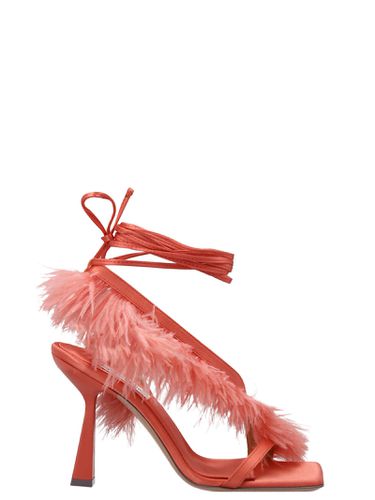 Feather Wrap Sandals - Sebastian Milano - Modalova