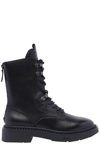 Ash Round Toe Lace-up Boots - Ash - Modalova