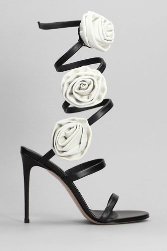 Rose Sandals In Leather - Le Silla - Modalova