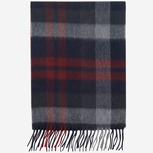 Alex Begg Cashmere Scarf - Alex Begg - Modalova