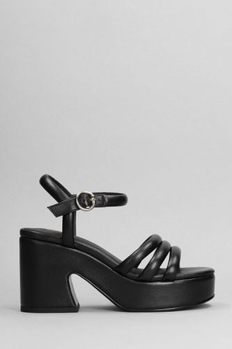 Ash Onyx Sandals In Black Leather - Ash - Modalova