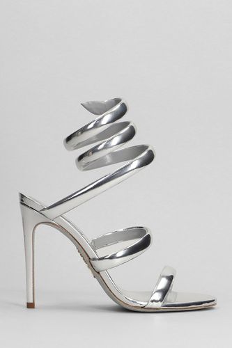 Serpente Sandals In Leather - René Caovilla - Modalova