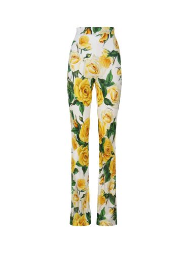 Rose Printed High Waist Pants - Dolce & Gabbana - Modalova