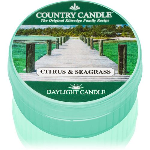 Citrus & Seagrass candela scaldavivande 42 g - Country Candle - Modalova