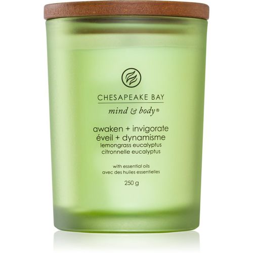 Mind & Body Awaken & Invigorate candela profumata 250 g - Chesapeake Bay Candle - Modalova