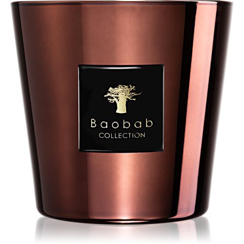 Les Exclusives Cyprium vela perfumada 8 cm - Baobab Collection - Modalova