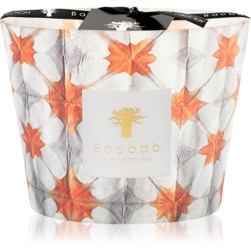 Odyssée Calypso vela perfumada 10 cm - Baobab Collection - Modalova