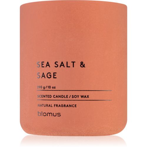 Fraga Sea Salt & Sag candela profumata 290 g - Blomus - Modalova