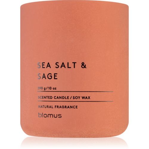 Fraga Sea Salt & Sag Duftkerze 290 g - Blomus - Modalova