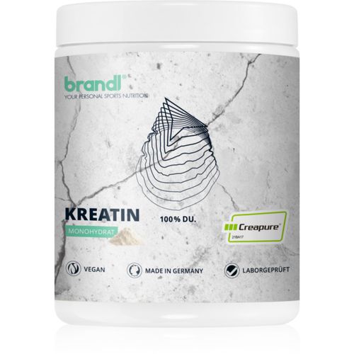 Kreatin Kreatin-Monohydrat 500 g - brandl - Modalova