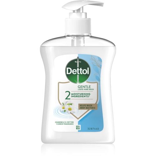 Soft on Skin Gentle Chamomile flüssige Seife für die Hände 250 ml - Dettol - Modalova