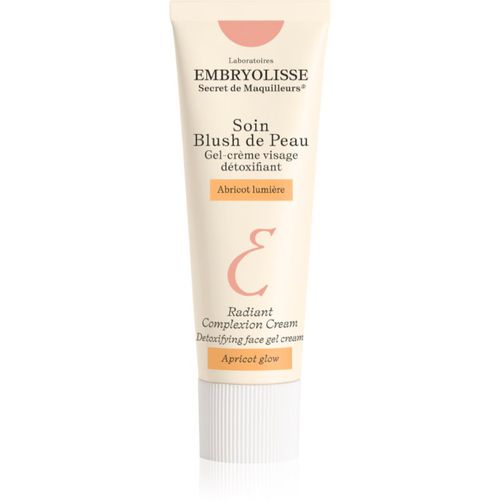 Artist Secret crema giorno illuminante con effetto disintossicante 30 ml - Embryolisse - Modalova