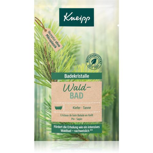 Mindful Forest Entspannendes Badesalz 60 g - Kneipp - Modalova