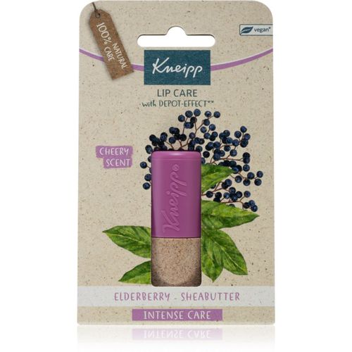 Elderberry Lippenbalsam 4.7 g - Kneipp - Modalova