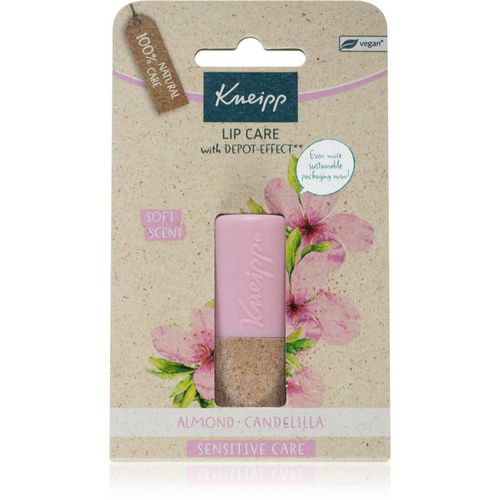 Kneipp Almond bálsamo labial 4,7 g - Kneipp - Modalova