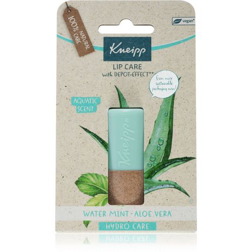 Aloe Vera bálsamo labial 4.7 g - Kneipp - Modalova