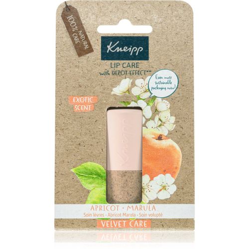 Apricot & Marula bálsamo labial 4,7 g - Kneipp - Modalova