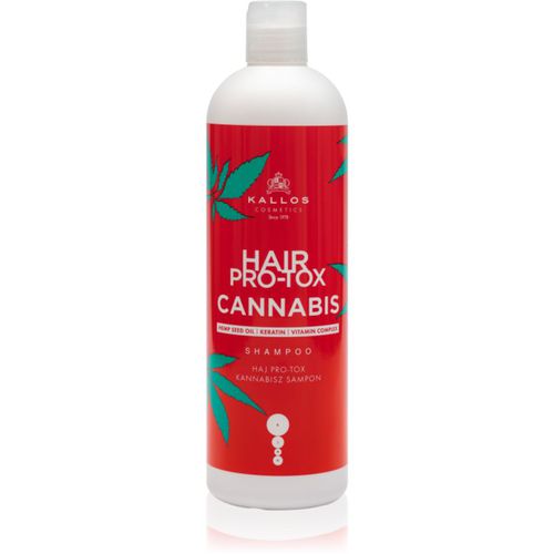 Hair Pro-Tox Cannabis champú regenerador con aceite de cáñamo 500 ml - Kallos - Modalova