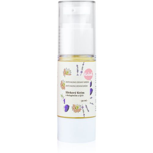 Plum Cream with Collagen and Q10 crema giorno per pelli mature 50+ 30 ml - Kvitok - Modalova