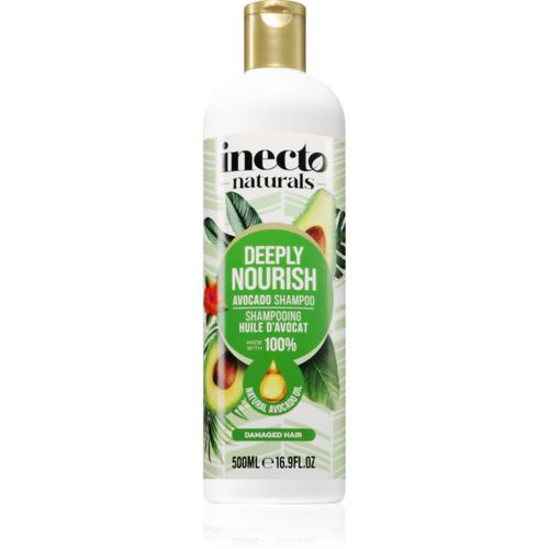 Avocado champú nutritivo para cabello 500 ml - Inecto - Modalova