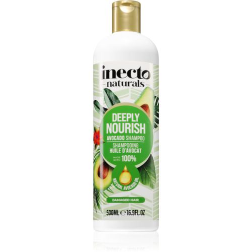 Avocado shampoo nutriente per capelli 500 ml - Inecto - Modalova