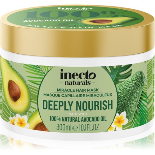 Avocado mascarilla de nutrición profunda para cabello 300 ml - Inecto - Modalova