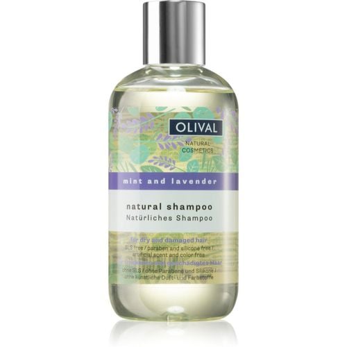 Natural Mint and Lavender champú natural para cabello seco y dañado 250 ml - Olival - Modalova