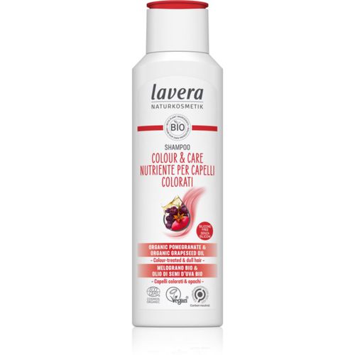 Colour & Care champú nutritivo para cabello teñido 200 ml - Lavera - Modalova