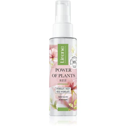 Power of Plants Rose erfrischendes Rosenwasser 100 ml - Lirene - Modalova