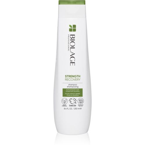 Strength Recovery champú para cabello maltratado o dañado 250 ml - Biolage - Modalova